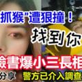 抱嬰「抓猴」遭小三開車狠撞！少婦臉書爆小三長相！警方已介入調查！