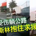 小狗受傷躺公路女穆斯林抱住求援