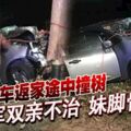 共車返家途中撞樹空軍雙親不治妹腳骨折