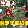 拉曼大學生步行返家　遭不明人士潑灑紅漆