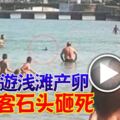 劍魚游淺灘產卵遭遊客石頭砸死