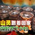 【大山腳日落灣師父廟】日本山靈跟著回家，八卦碗在做法時破碎，少婦也大劫難逃！