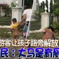 疑中遊客讓孩子路旁「解放」網民：大馬是有廁所的