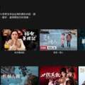 原來Netflix有隱藏代碼！輸入隱藏的代碼就能看「成人動作影片、各國動畫片」