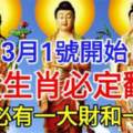 3月1號開始九大生肖必定翻身，轉走必有一大財和一大喜