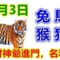 9月3日生肖運勢_兔、馬、虎大吉