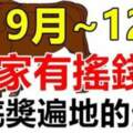 9月富到12月，家有搖錢樹，年底獎遍地的三大生肖！