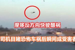 摩哆反方向快駛釀禍司機目睹恐怖車禍後瞬間成受害者