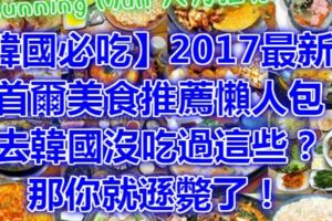 【韓國必吃】2017最新版：首爾美食推薦懶人包～去韓國沒吃過這些？那你就遜斃了！