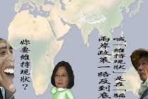 哪一根是壓垮蔡政府的最後稻草？
