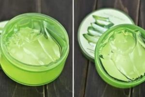 夏日必備【蘆薈膠】用途你知道多少？只知道曬後修復就太弱啦～