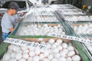 台灣毒蛋危機蔓延到肉雞了！蔡英文還在傻問：禁藥為何不檢測……