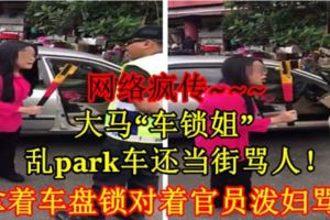 網路瘋傳~~~大馬「車鎖姐」亂park車還當街罵人！竟拿著車盤鎖對著官員潑婦罵街！【內附視頻】