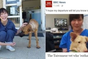台灣收容所女獸醫服用安樂死藥物「死諫流浪動物悲歌」，BBC揭曉的殘酷幕後原因讓人忍不住流下兩行淚水…