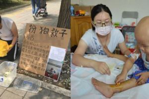 2歲兒子身患絕症，護士媽媽跪在北京街頭扮「狗」救子，場景令人鼻酸