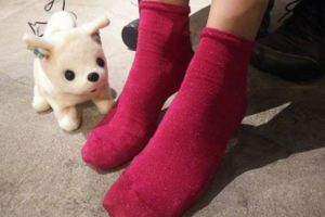 《氣味偵測狗》如果你腳臭那麼小花就會立馬GG給你看XD