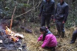 父死母瘋,8歲女童開心的告訴爸爸明天去孤兒院了