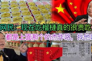 【爆料】網民：現在要吃榴槤真的好貴哦！林冠英：納吉是罪魁禍首