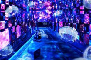 ❤水族館中的銀河探險！墨田水族館「FairytaleinAquarium」展覽夢幻展開❤