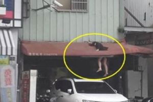 台中驚現「女墜樓卡遮雨棚」超驚險，網友放大發現「左腳踝上的亮點」全都傻眼了！