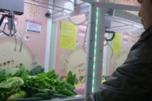 【影片】台灣夾娃娃機變「夾菜機」引起網友朝聖挑戰，「60元保夾」好玩到停不下來！
