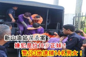 新山油站謀殺案：嫌犯是位16歲正妹！警分3地逮捕14名男女！