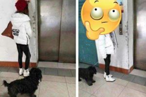 「背殺」妹子突然轉身網友秒崩潰…