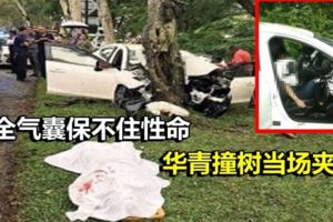 死亡車禍！安全氣囊保不住性命華青撞樹當場夾斃