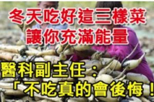 冬天吃好這三樣菜，讓你充滿能量，中醫科副主任：「不吃真的會後悔！」