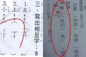 10個超有前途小孩的「超狂回家作業」，老師肯定「改到吐血」也改不完：現在小孩是...