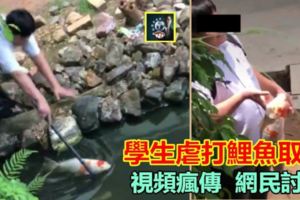 這班頑劣學生虐打鯉魚取樂，視頻瘋傳網民討伐!!