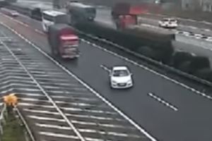 馬路三寶錯過交流道竟「逆向迴轉急煞車」！下一秒「驚見2大車逼近」車主玩命做....網友怒轟太可惡！