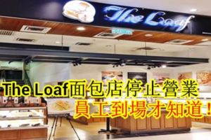TheLoaf麵包店停止營業，員工到場才知道！