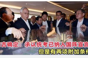 納吉確定：承認統考文憑已納入國陣宣言，但是有兩項附加條件！