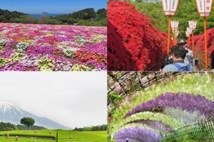 夢幻美景連當地人都讚嘆日本春日五大絕景