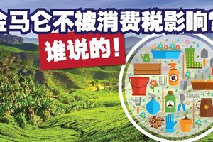 誰說消費稅不會影響金馬侖農民？