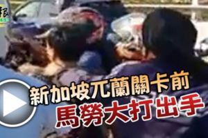 新加坡兀蘭關卡前馬勞大打出手
