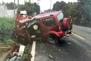 吉普車撞翻搬運車壓死老農夫妻
