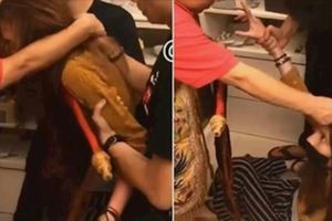 長髮妹屋中「中邪狂翻白眼」不停扭動　師父一出現「可怕男靈現身」狂嘶吼：跟她共存