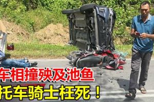 兩車相撞殃及池魚摩托車騎士枉死！