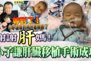 謝謝「肝」媽！小子謙肝臟移植手術成功