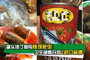 【馬來西亞】再被驗出內有蠕蟲！衛生部要6款沙丁/鯖魚罐頭下架！