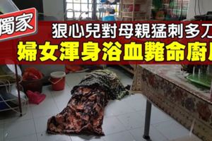 狠心兒親手弒母　母親傷重斃命
