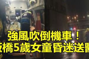 強風吹倒機車！板橋5歲女童昏迷送醫