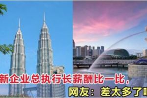 馬新企業總執行長薪酬比一比！網友：差太多了吧！