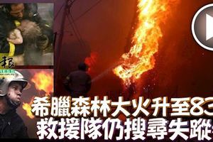 希臘森林大火升至83死-救援隊仍搜尋失蹤者