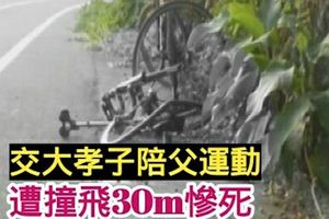 交大孝子陪父運動　遭撞飛30m慘死