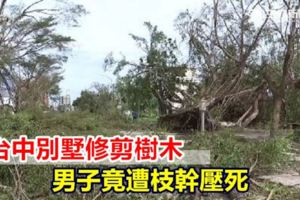 到別墅修剪樹木壯男竟被枝幹壓死