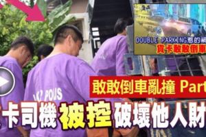  "DoubleParking事件"貨卡司機被控破壞他人財物!