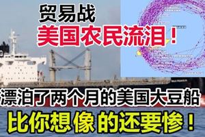 「貿易戰讓美國農民流淚」!這艘在海上漂泊了兩個月的美國大豆船,比你想像的還要慘!